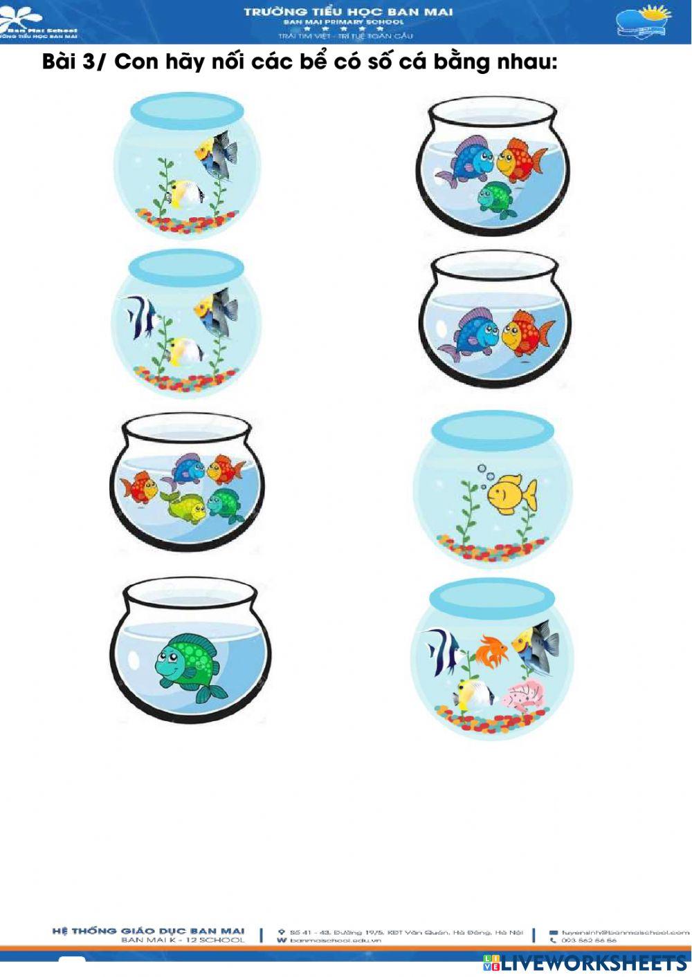 Bài tập cuối tuần 6