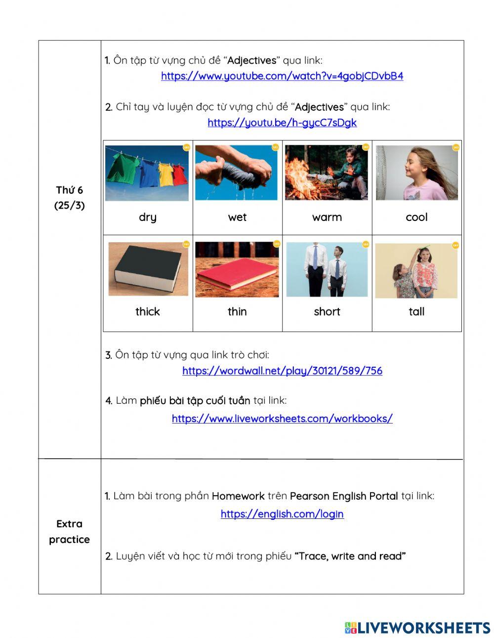 Hướng dẫn học tuân 33