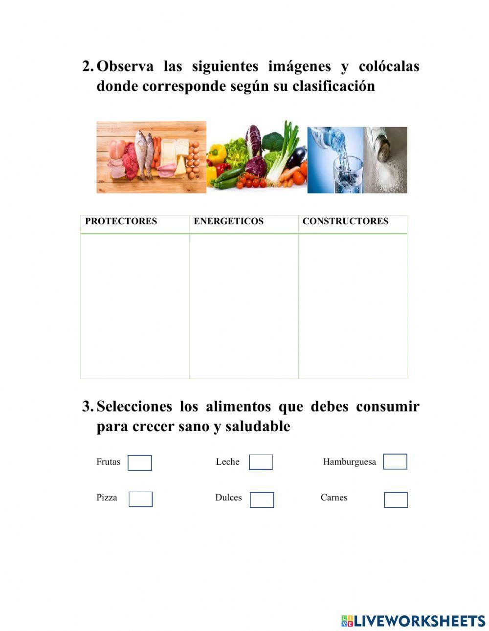 Clasificación de los alimentos