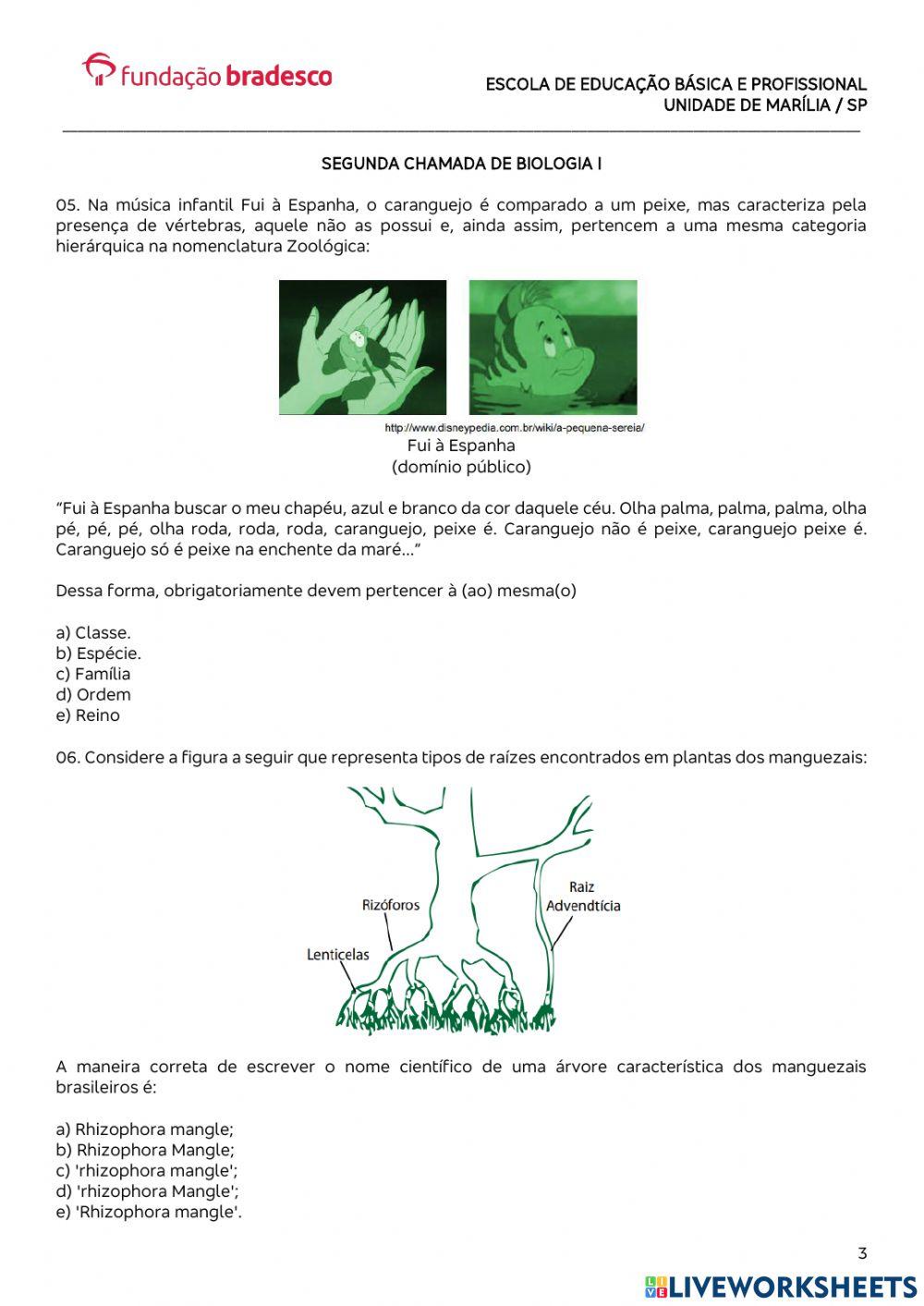 Classificação Biológica