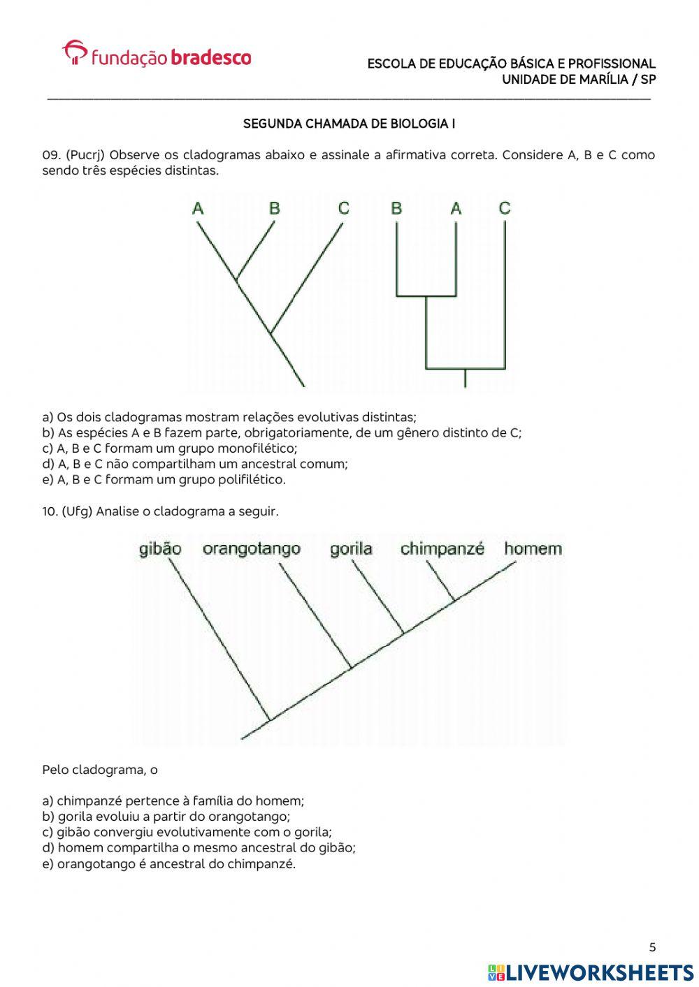 Classificação Biológica