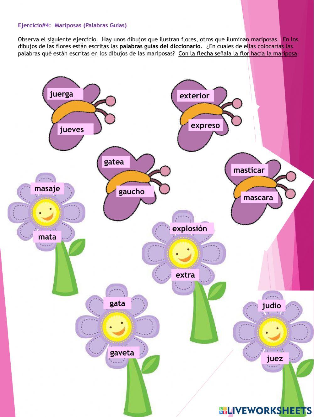 Ejercicio-4 Palabras guías (Mariposas)