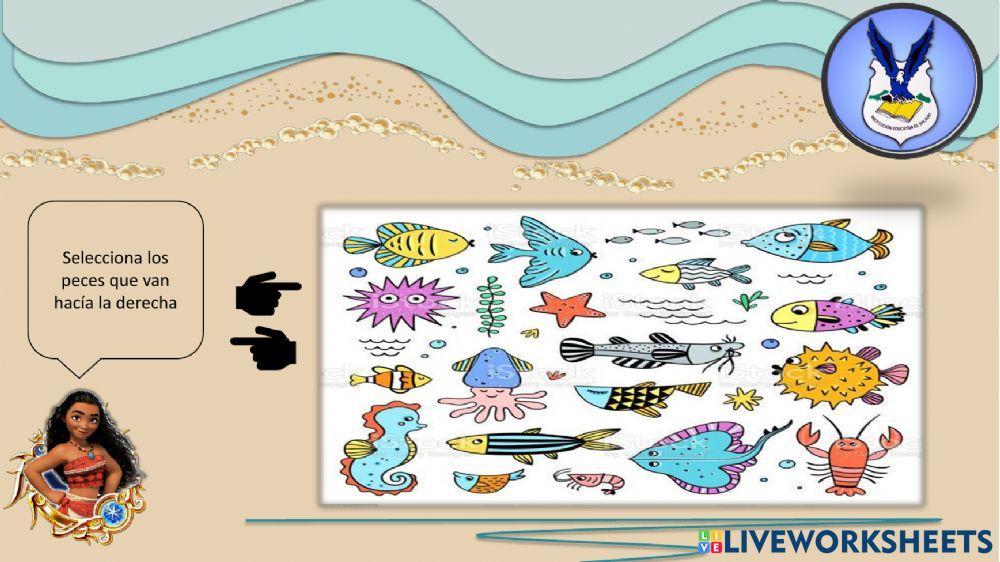 Una Aventura con Mohana