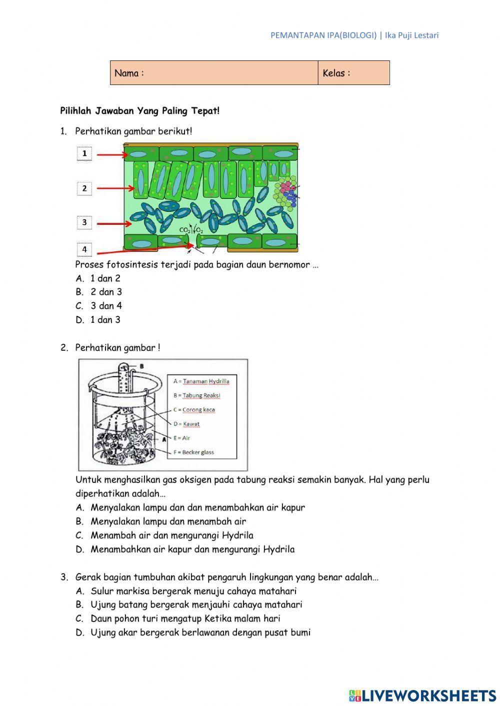 Pemantapan IPA BIologi