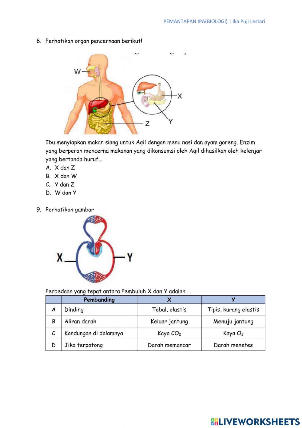 Pemantapan IPA BIologi