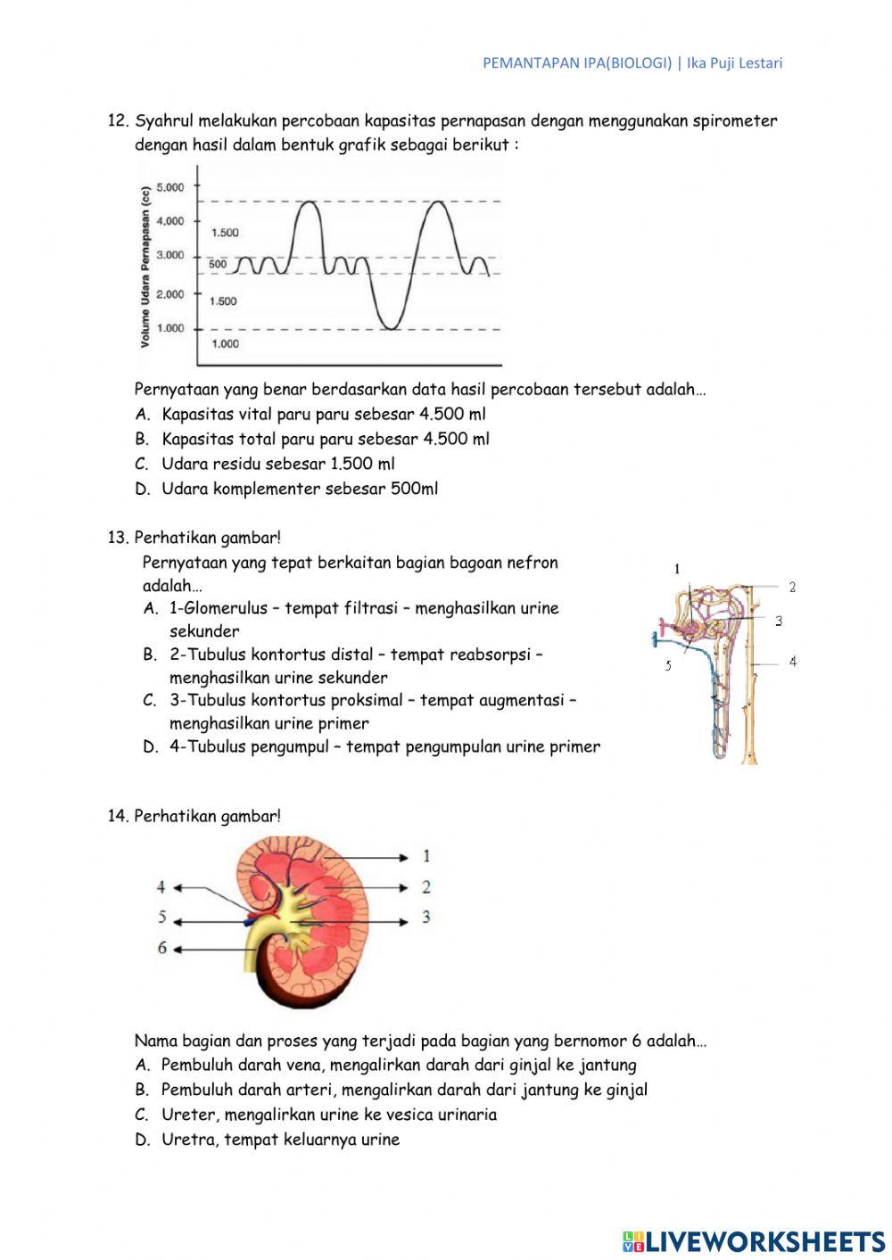 Pemantapan IPA BIologi