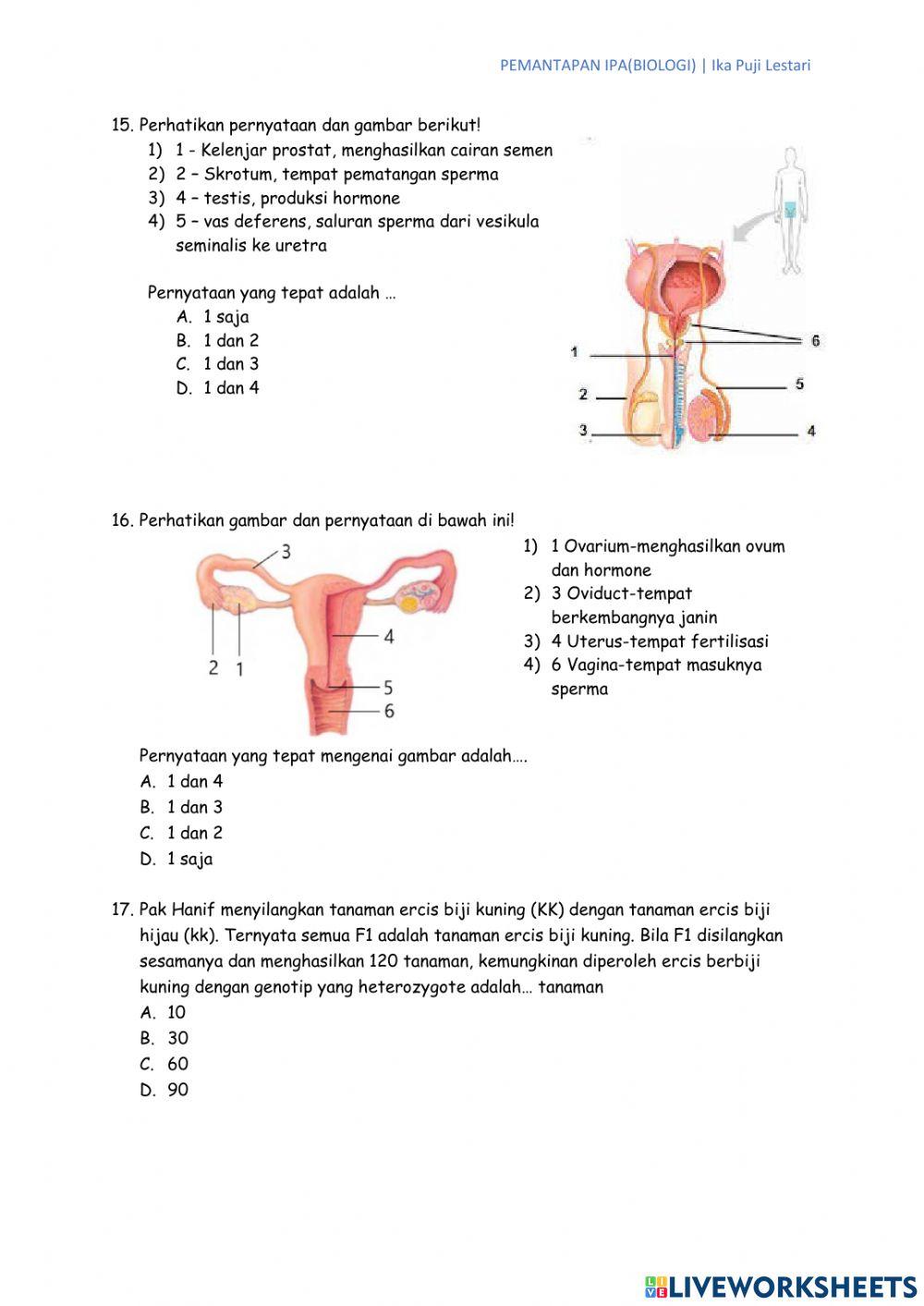 Pemantapan IPA BIologi