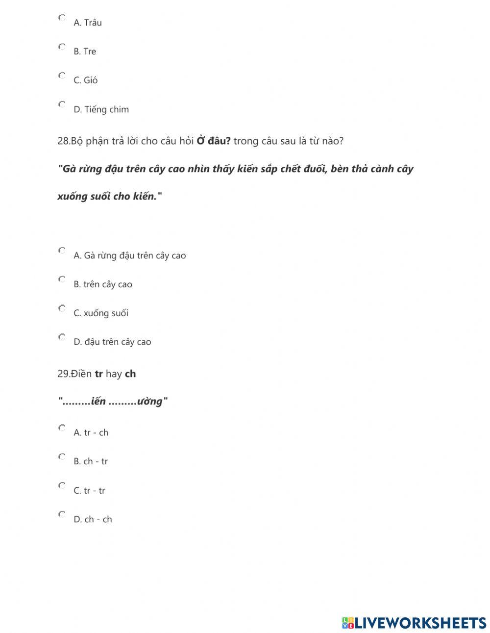 Phiếu Tiếng Việt CT21