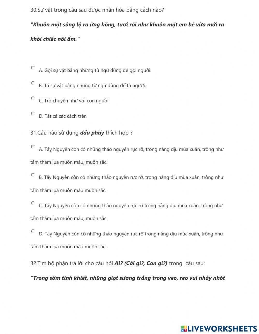 Phiếu Tiếng Việt CT21