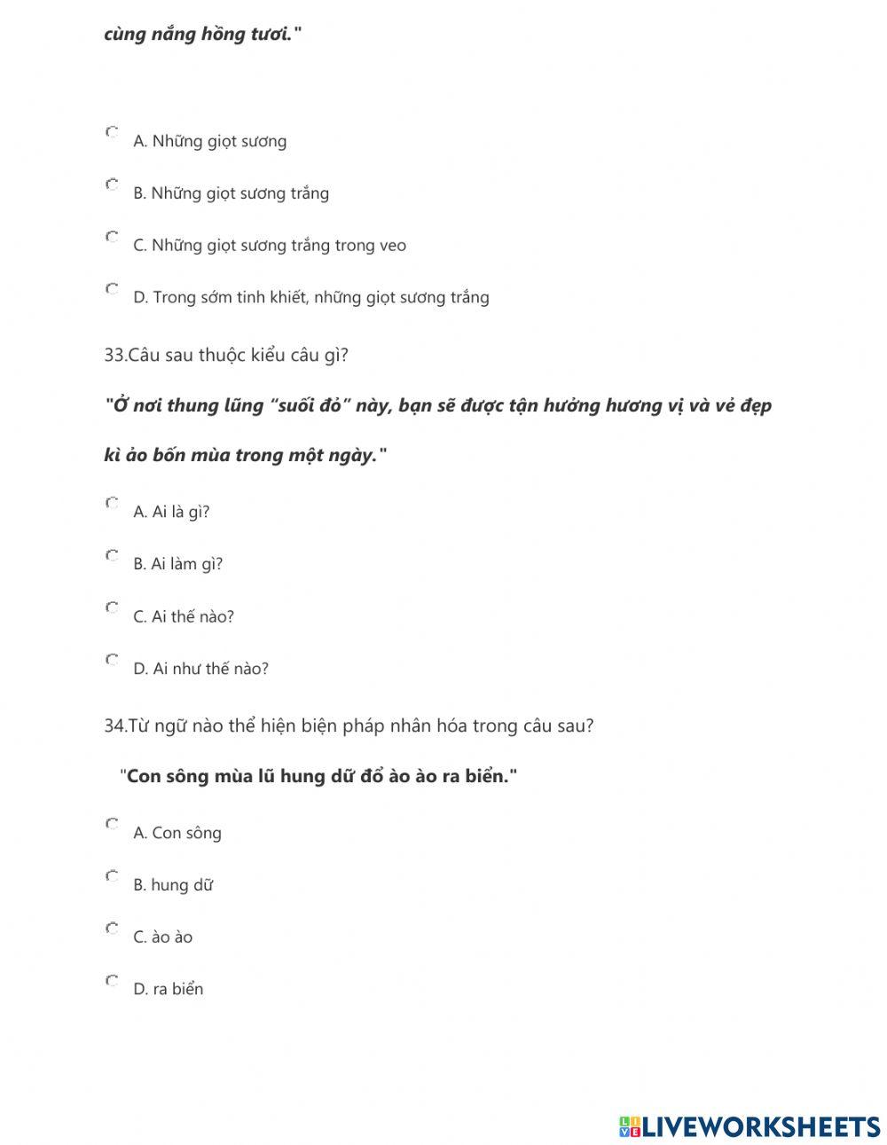 Phiếu Tiếng Việt CT21