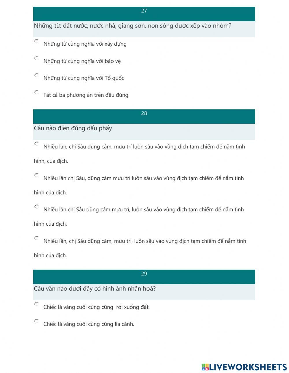 Phiếu Tiếng Việt CT22