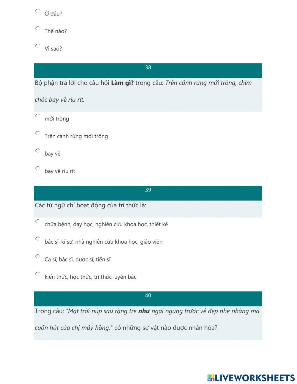 Phiếu Tiếng Việt CT22