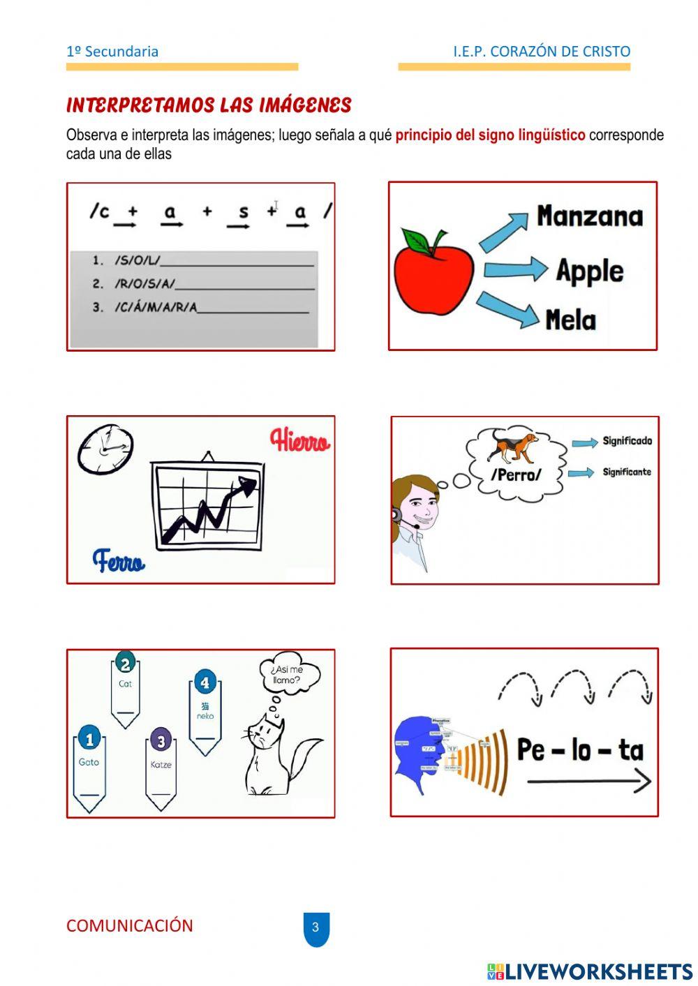Signo linguistico 1º
