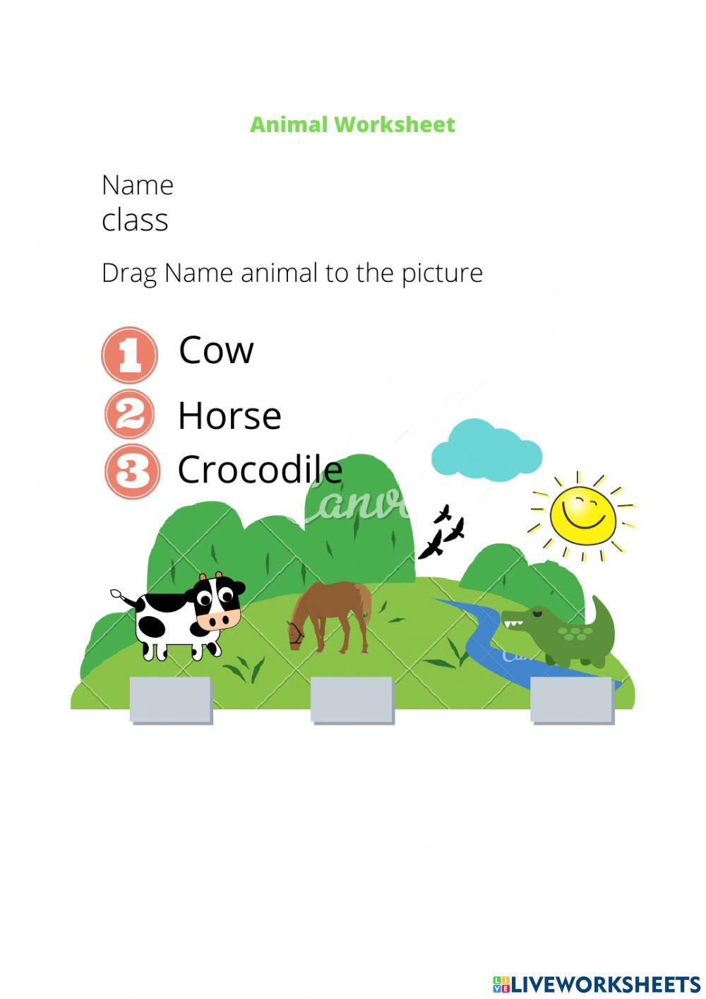 Drag name of animal with animal picture