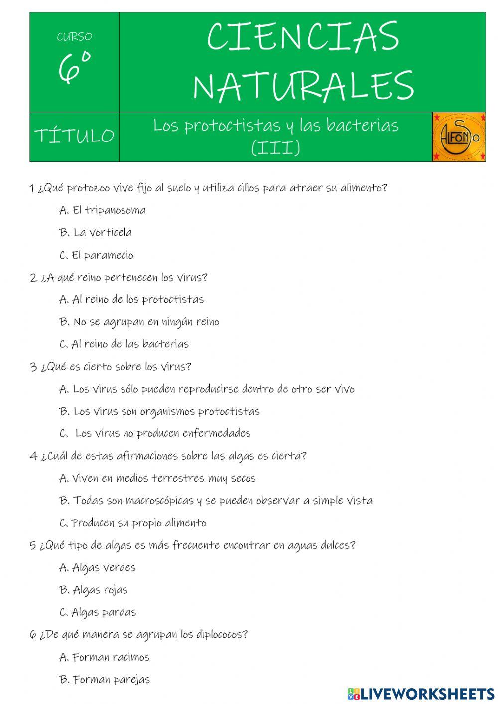 PROTOCTISTAS Y BACTERIAS iii