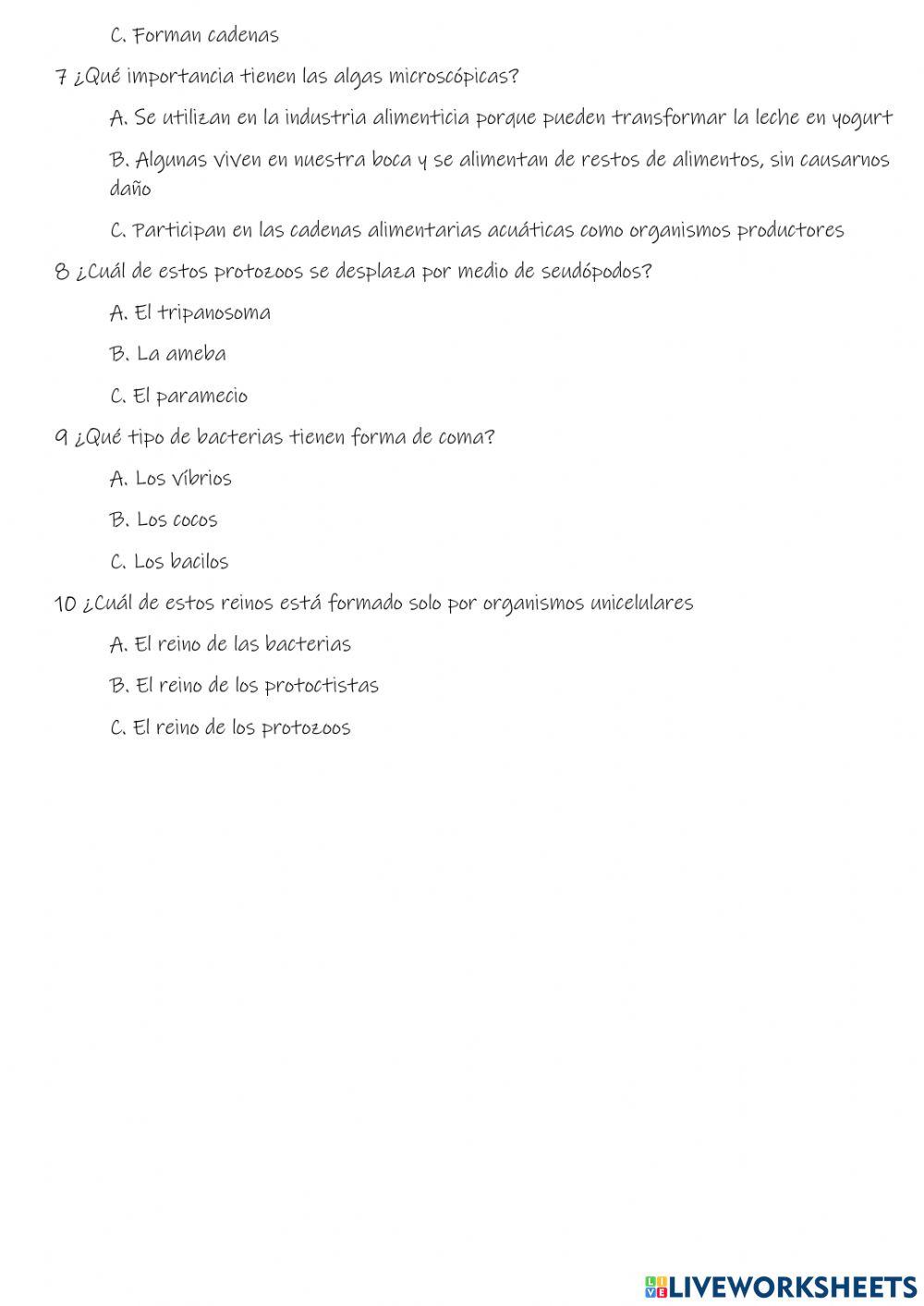 PROTOCTISTAS Y BACTERIAS iii