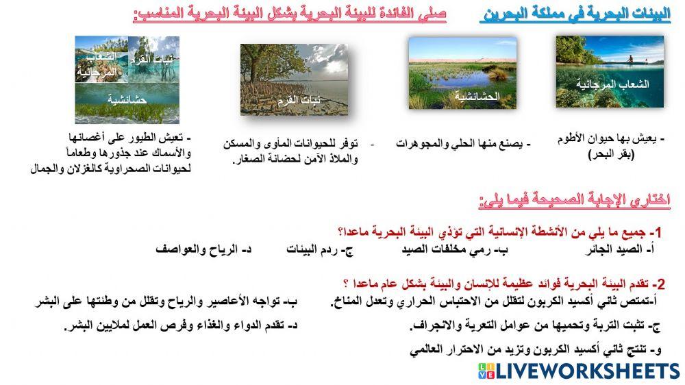 البيئات البحرية