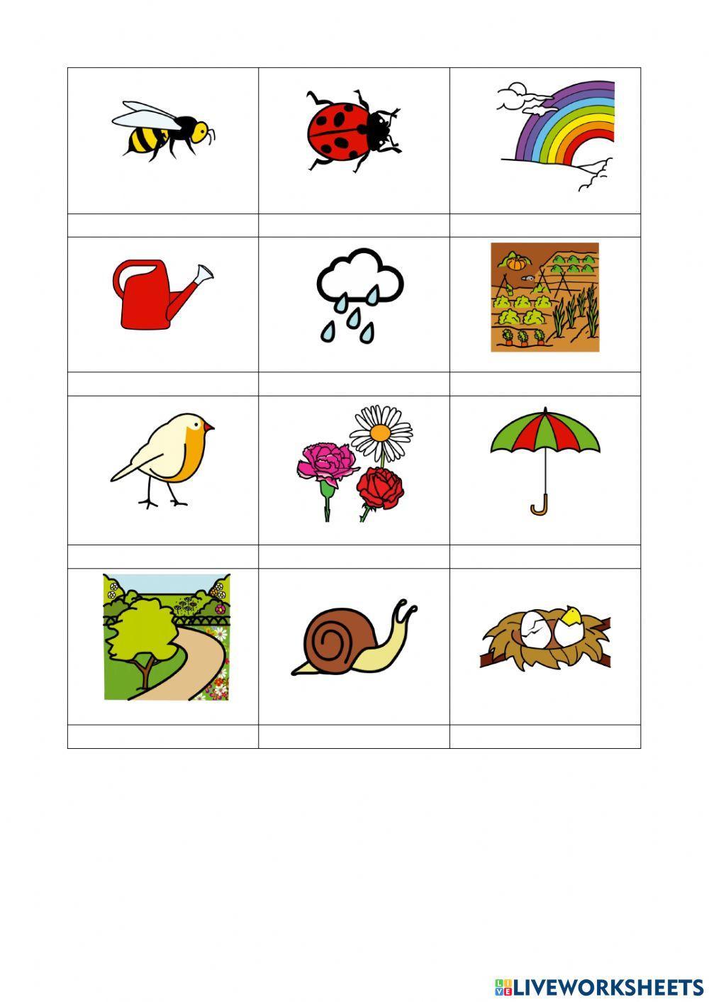 Vocabulari primavera