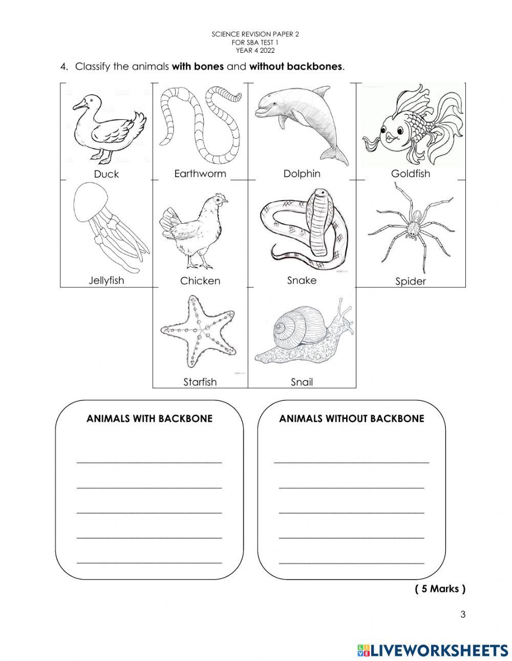 Science Revision Paper 2