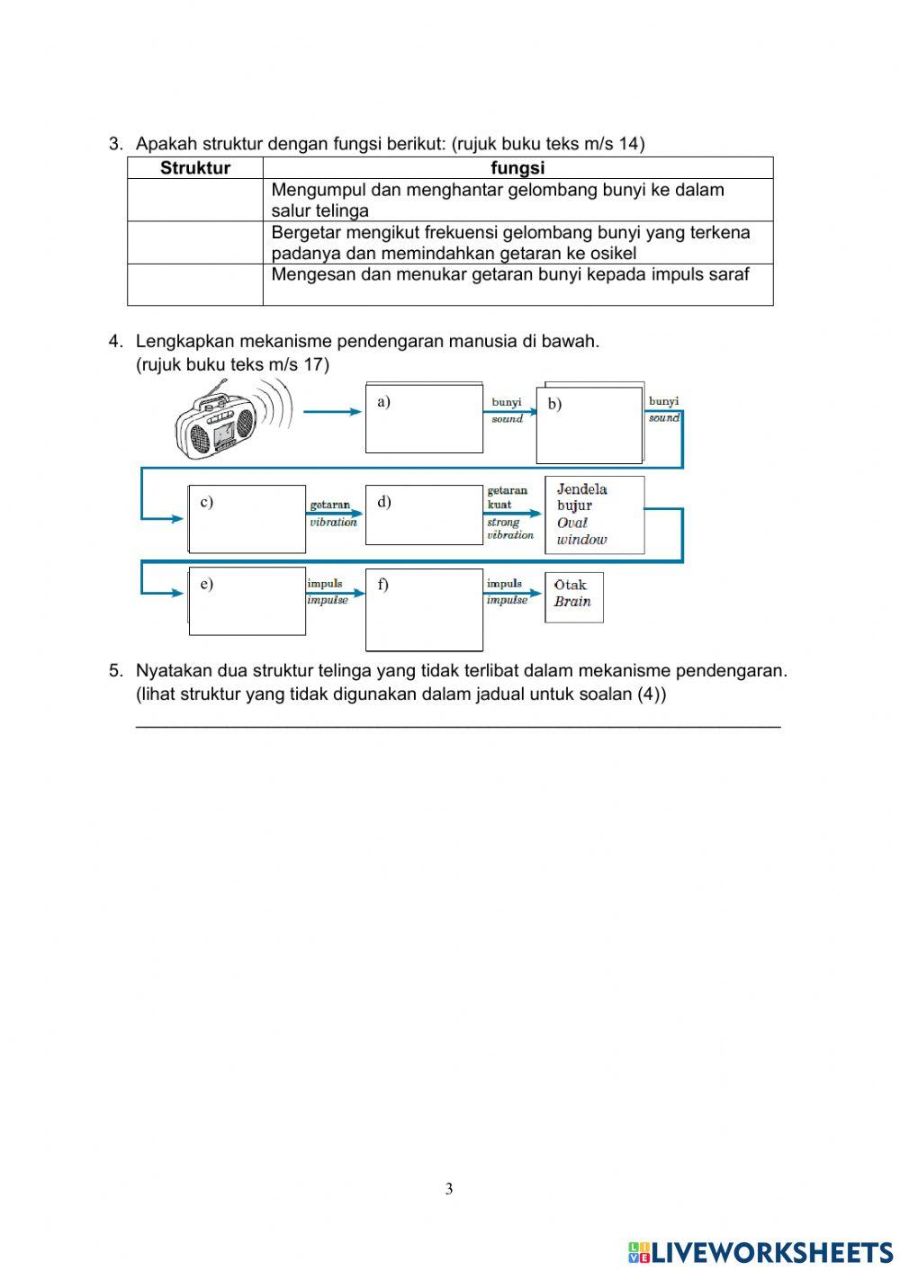 Rangsangan dan Gerak Balas