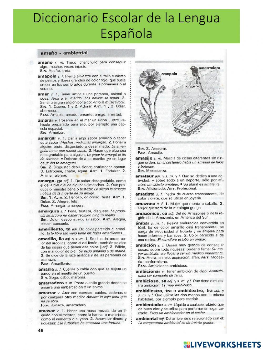 Localiza las palabras en el diccionario