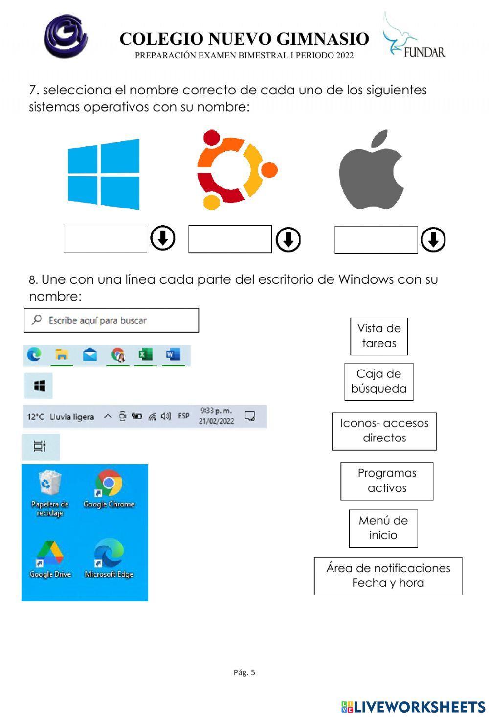 Preparación examen bimestral