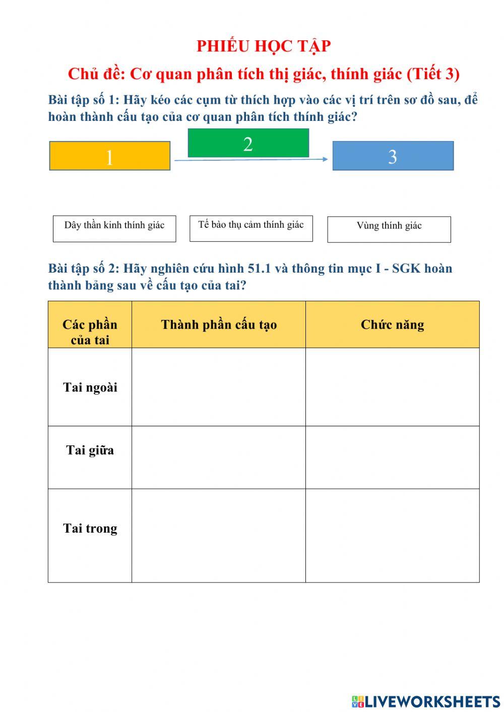 Cơ quan phân tích thính giác