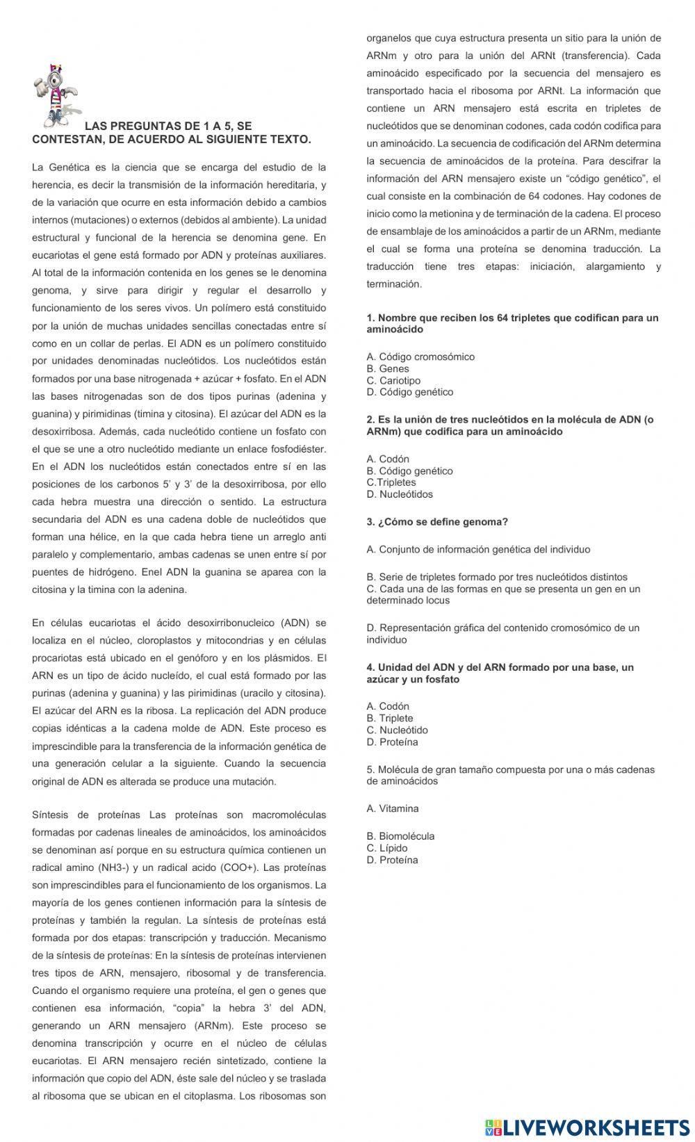 Comprension lectora adn y arn