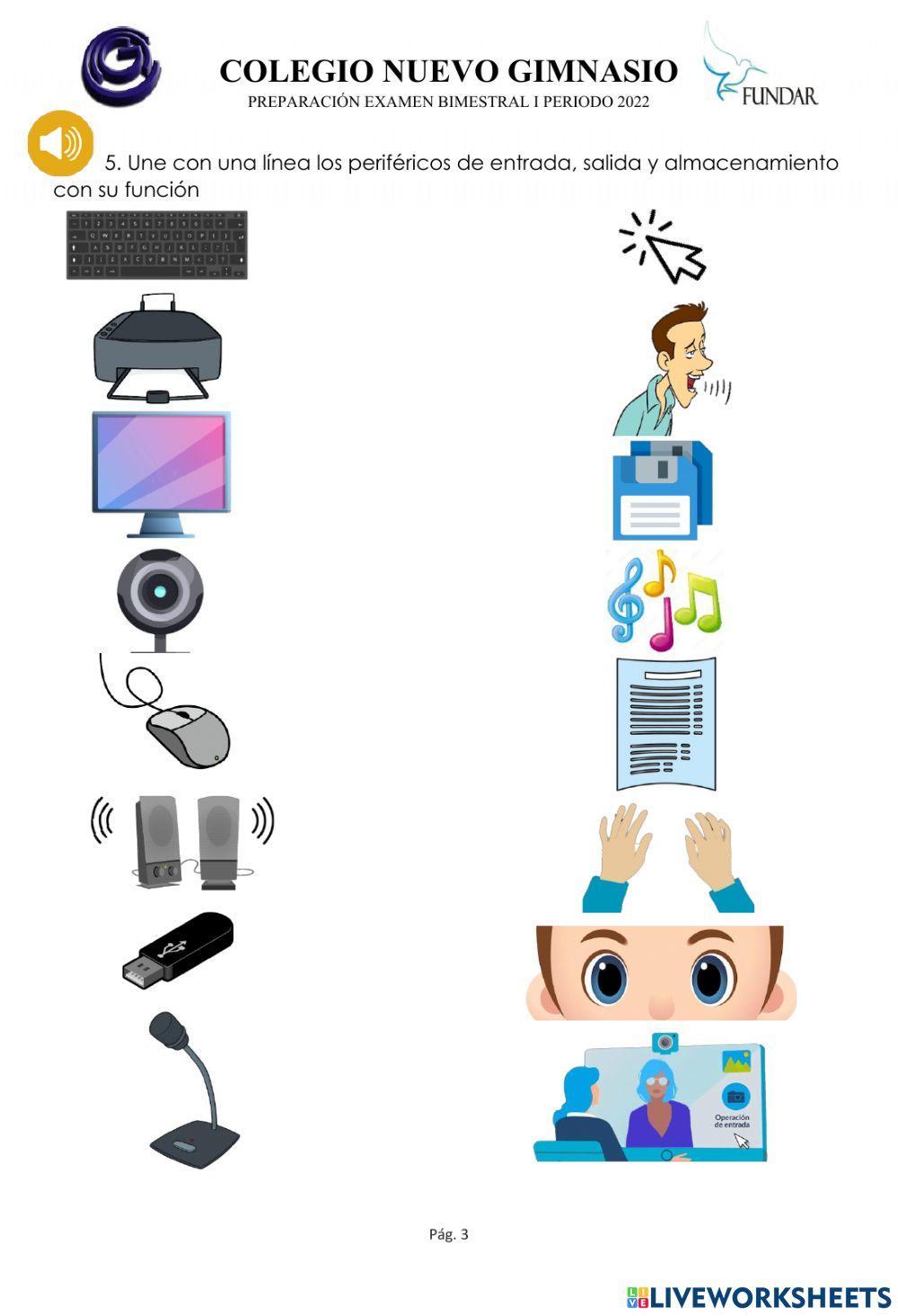 Preparación examen bimestral