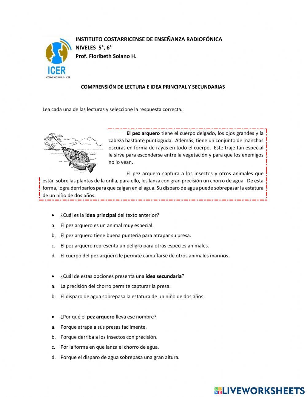 Comprensión lectora. Ideas principales y secundarias