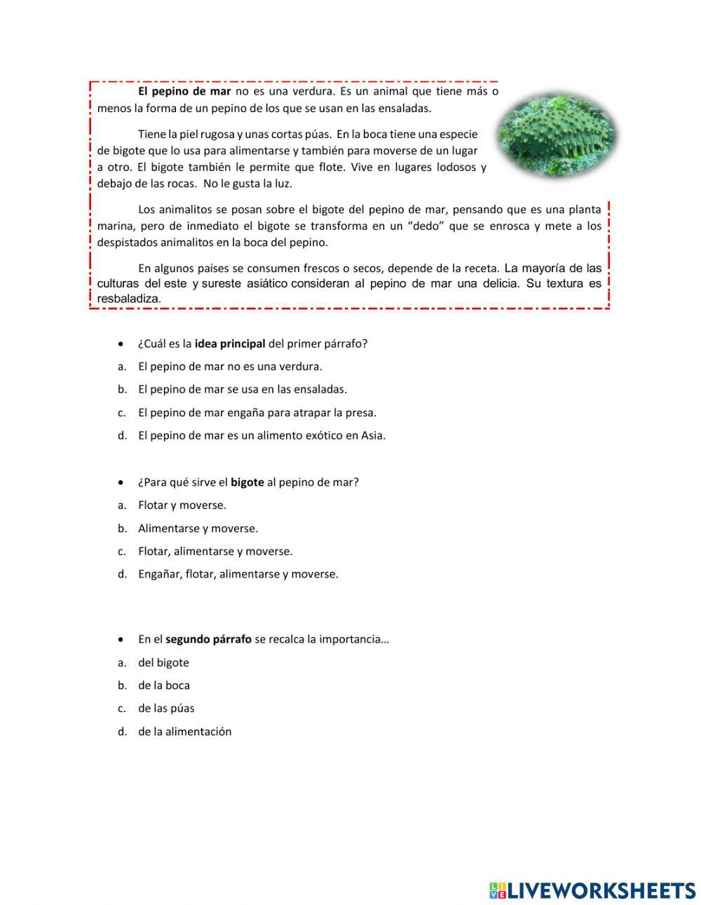 Comprensión lectora. Ideas principales y secundarias