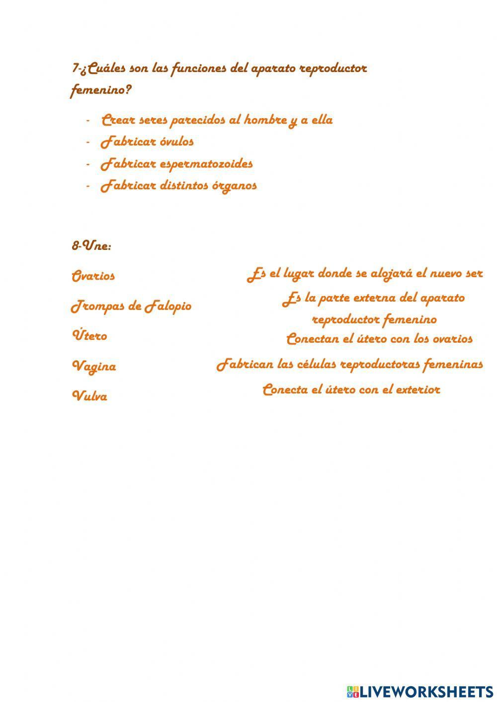 La función de reproducción