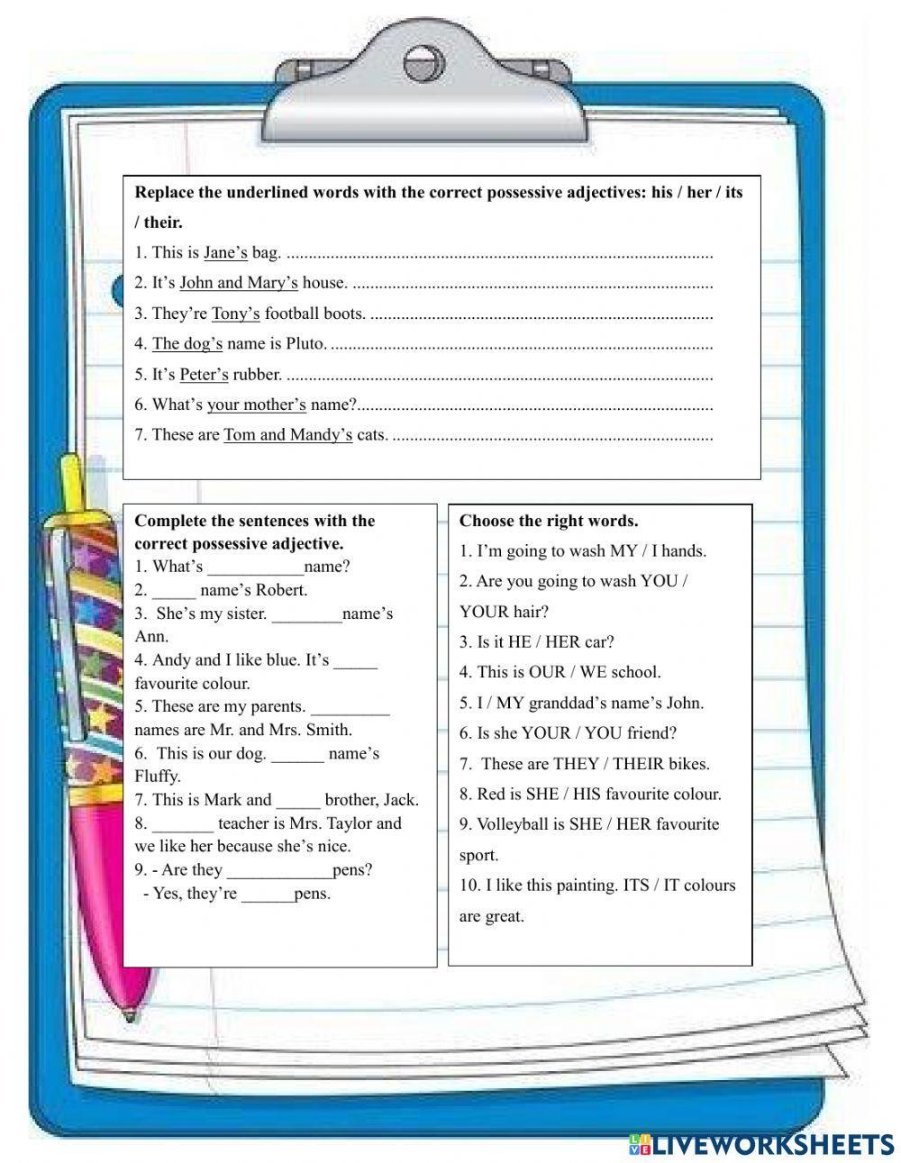 Possessive adjective