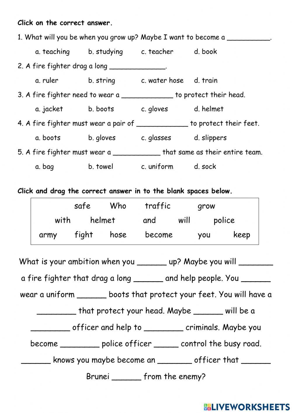 Week 12 year 3 people who keep us safe hibiscus