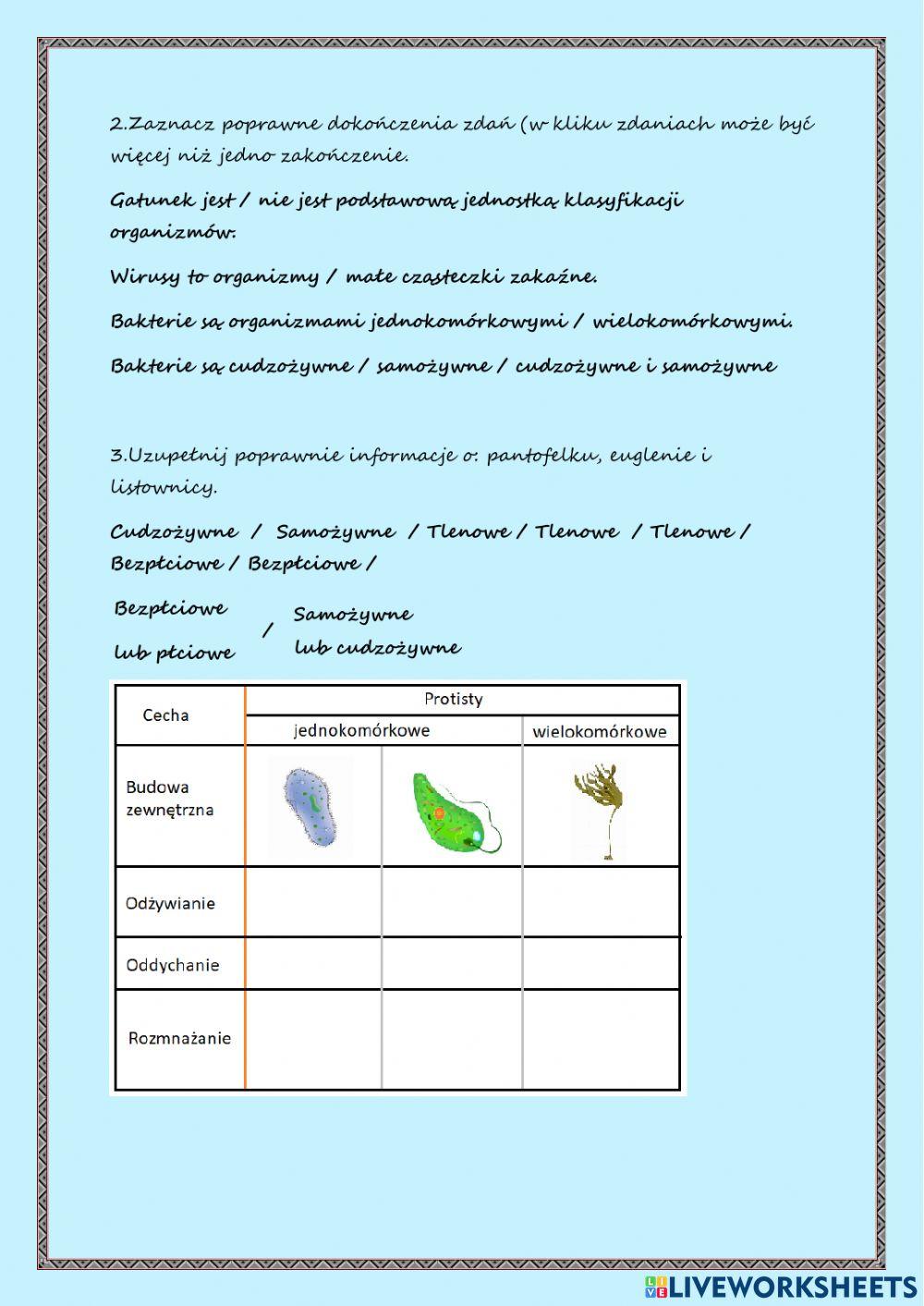 Klasyfikacja organizmów, bakterie i wirusy, protisty- Powtórzenie -Biologia-