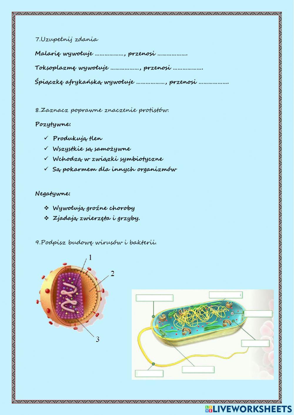 Klasyfikacja organizmów, bakterie i wirusy, protisty- Powtórzenie -Biologia-