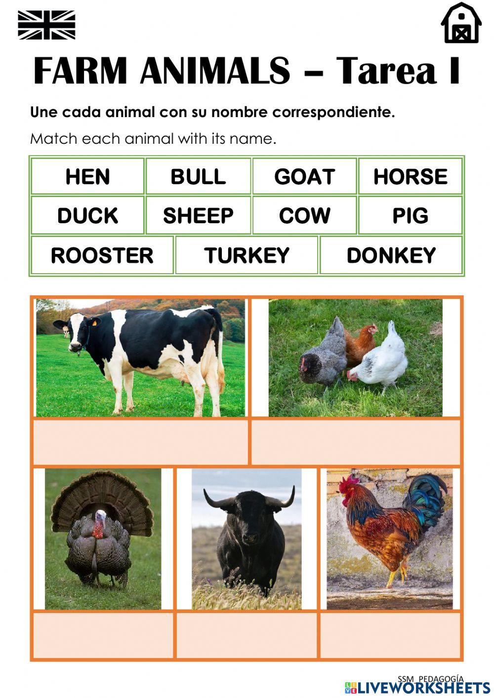 FARM ANIMALS - Tarea 1
