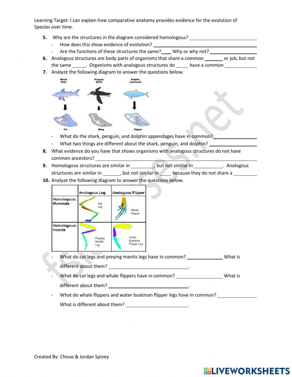 6903044 Evidence of Evolution Homologous Analogous