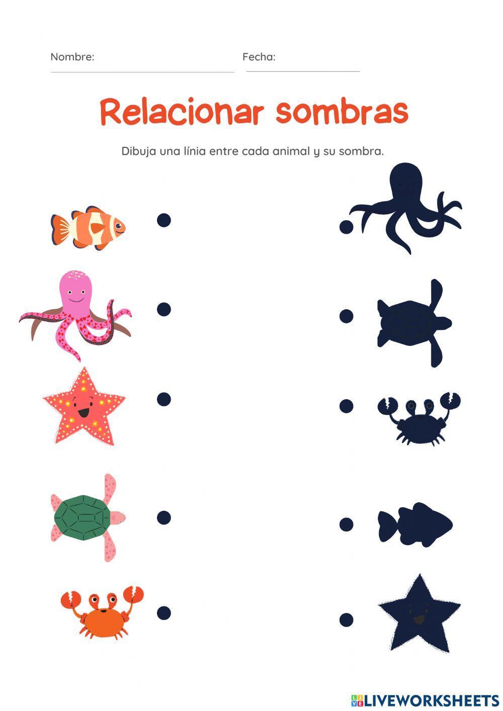 Relaciona con su sombra