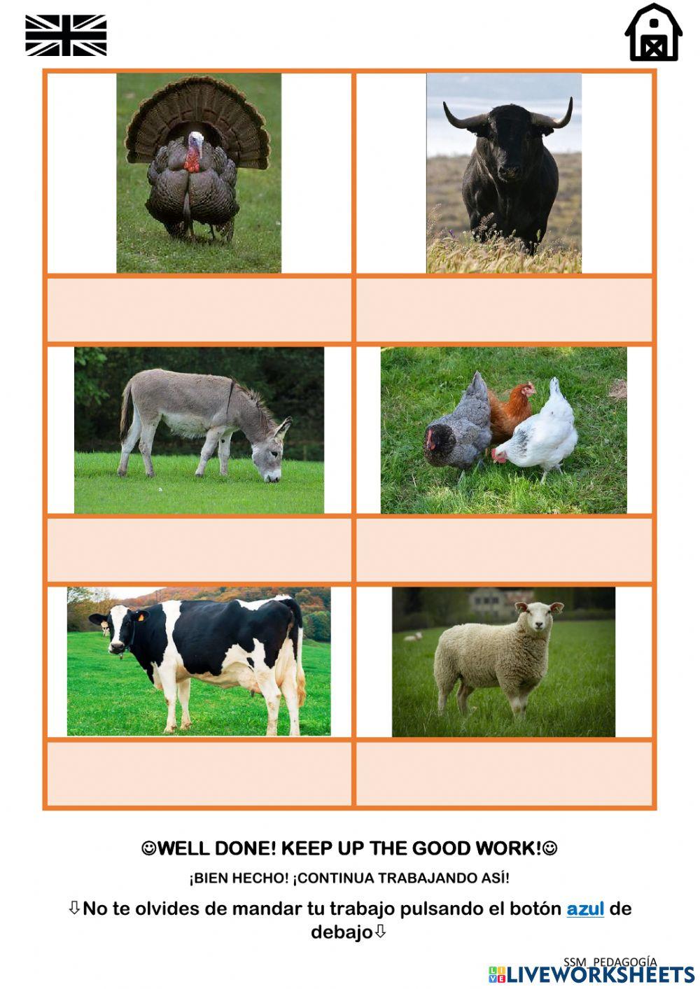 FARM ANIMALS - Tarea 2