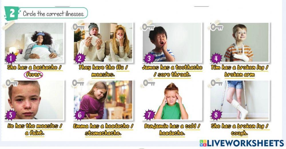 5.sınıf 2.Dönem 1.yazılı b bölümü seç