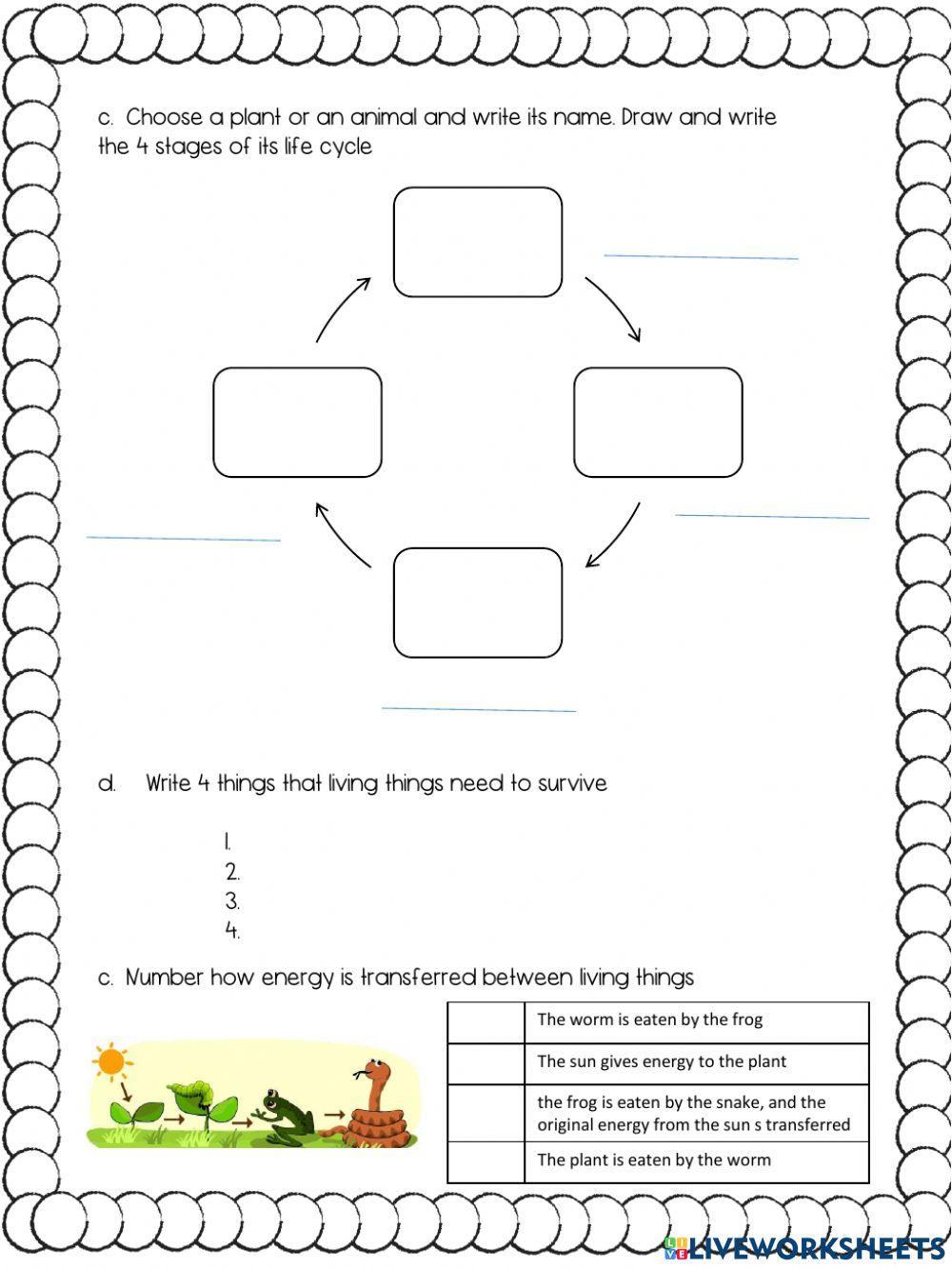 Biology review david