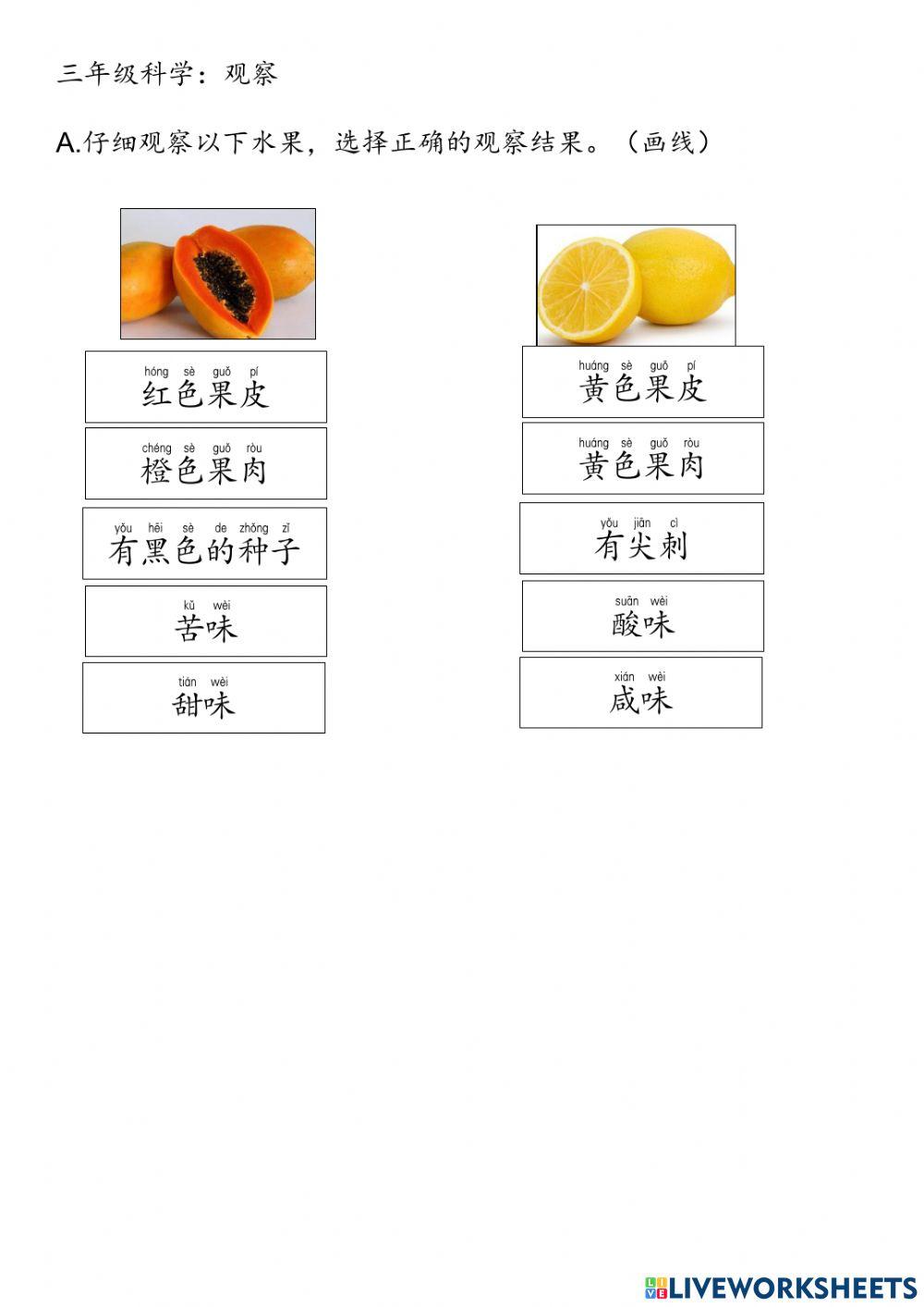 三年级科学：观察