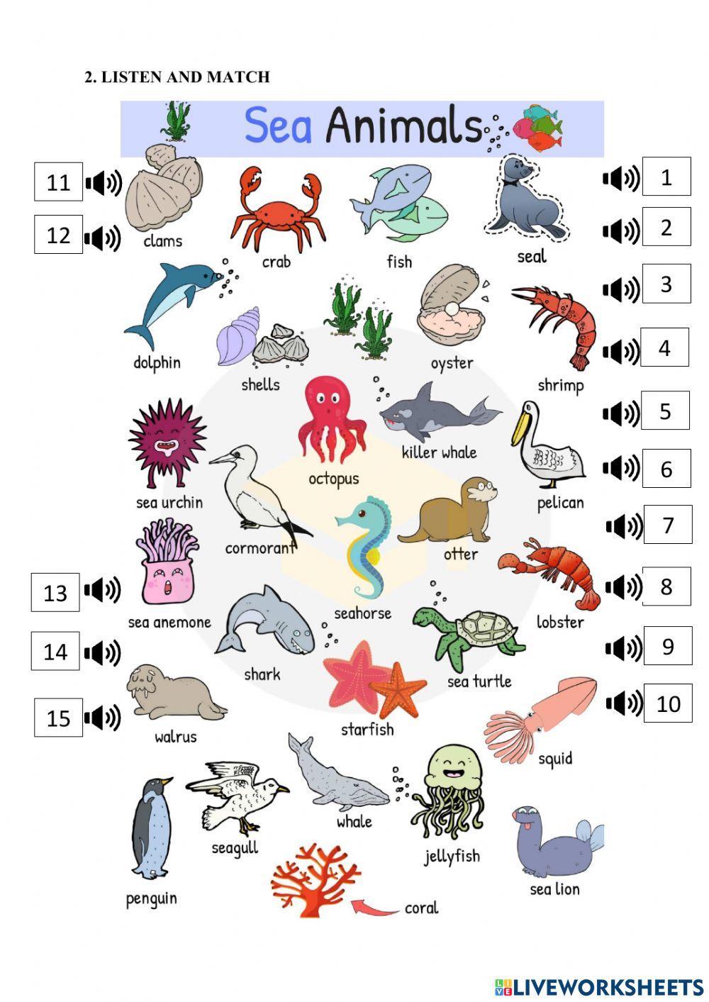 Lesson 27. who live in the ocean worksheet | Live Worksheets