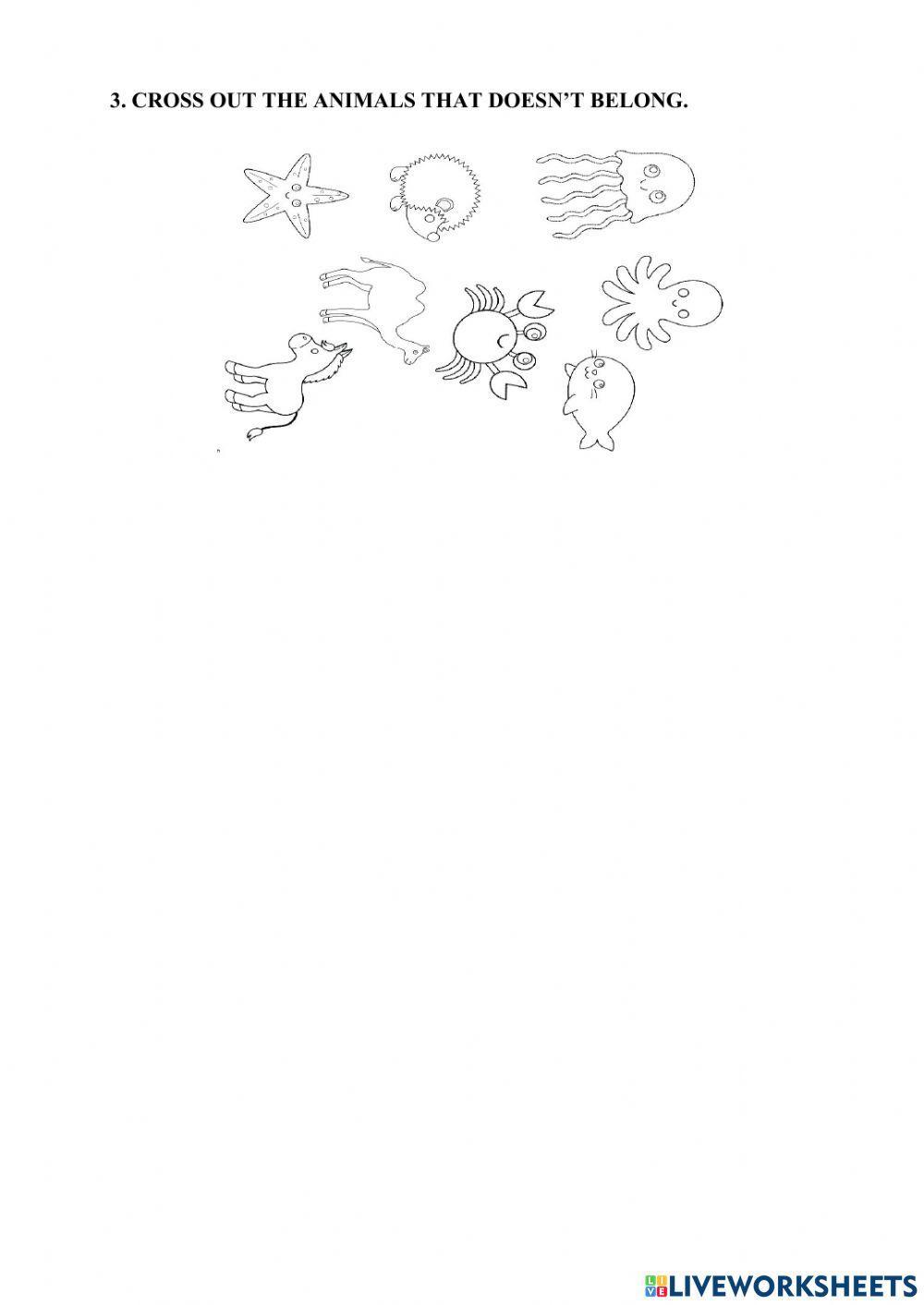 Lesson 27. who live in the ocean