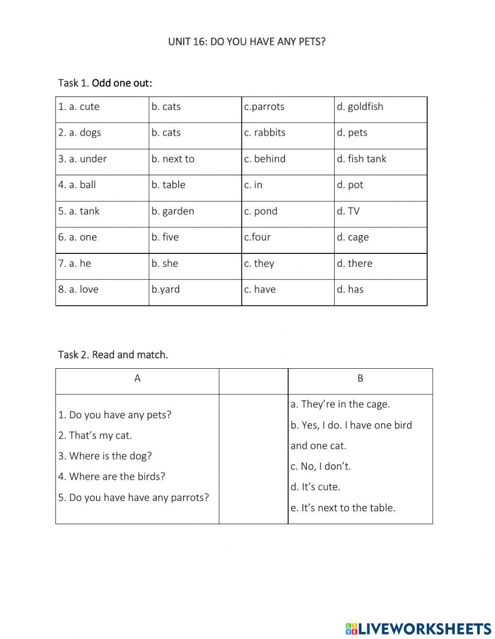 E3-Unit 16: Do you have any pets?