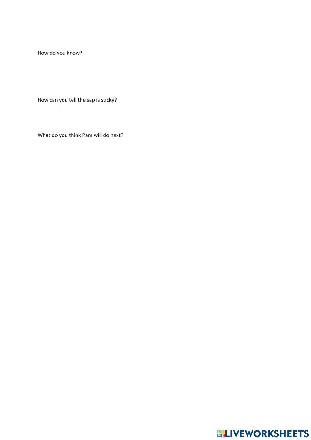 Learn to read series  Pam