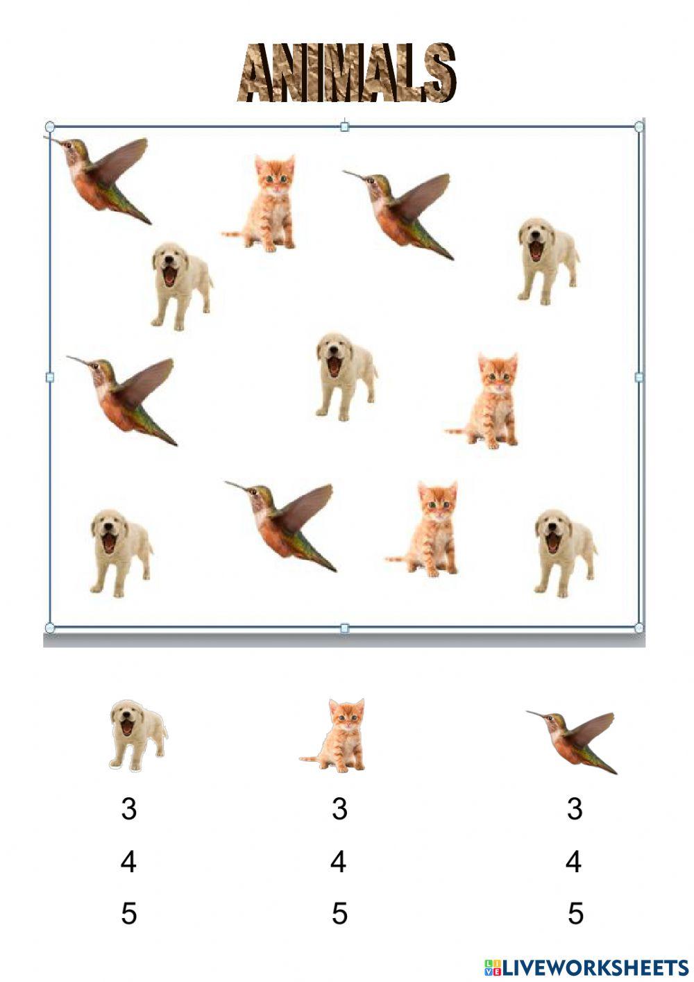 How many dogs, cats, birds?