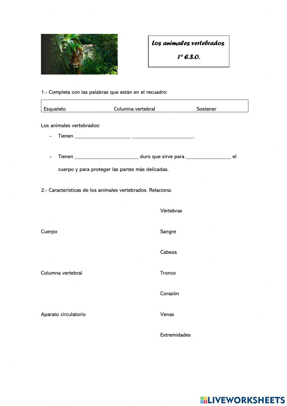 Animales Vertebrados