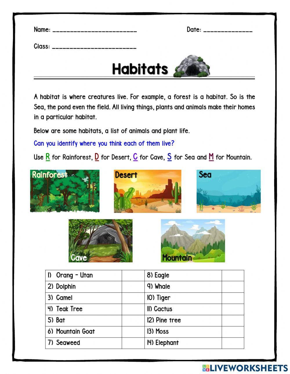 Animals' Habitat